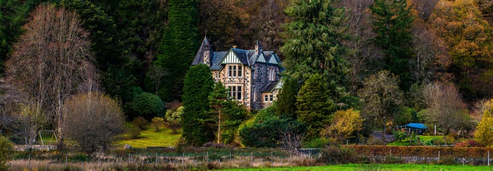 House in front of water in the forrest