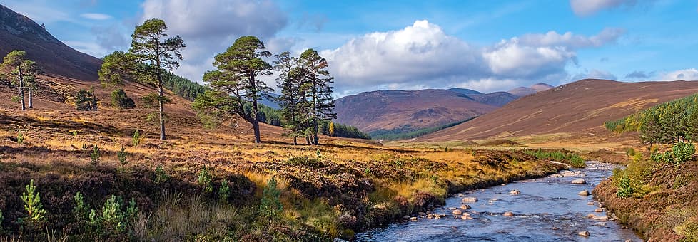 Scenic view of the Cairngorms National Park